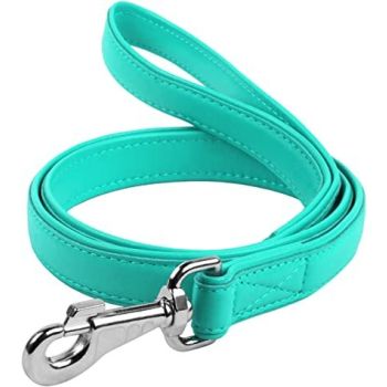 Waudog Leather Flat Clip Leash W9MM - L122CM MINT