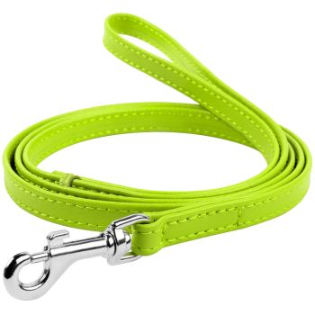 Waudog Leather Flat Clip Leash W25MM - L122CM GREEN