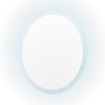 LED Wall Mirror Round Anti-Fog Bathroom 80cm