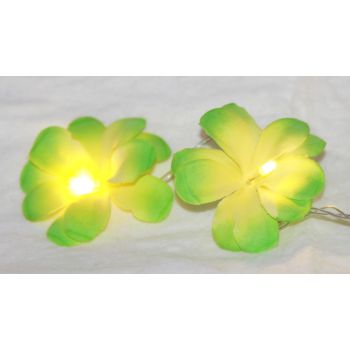 1 Set of 20 LED Green Frangipani Flower Battery String Lights Christmas Gift Home Wedding Party Decoration Outdoor Table Garland Wreath