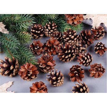 18 Christmas Natural Pine Cones Xmas Tree Hanging Home Decoration Ornament Gifts, 18x Natural Pinecones