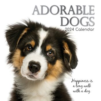 Adorable Dogs - 2024 Square Wall Calendar Pets Animals 16 Months Premium Planner