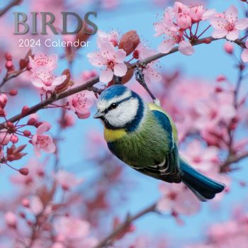 Birds - 2024 Square Wall Calendar Pets Animals 16 Months Premium Planner Gift