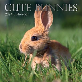 Cute Bunnies - 2024 Square Wall Calendar Pets Animals 16 Months Premium Planner