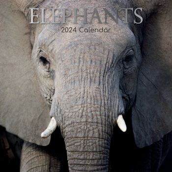 Elephants 2024 Square Wall Calendar Pets Animals 16 Months New Year Planner Gift