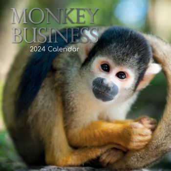 Monkey Business 2024 Square Wall Calendar Pets Animals 16 Months Premium Planner