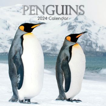 Penguins - 2024 Square Wall Calendar Pets Animals 16 Month New Year Gift Planner