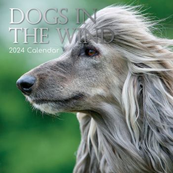 Dogs in the Wind 2024 Square Wall Calendar Pets Animals 16 Month Premium Planner