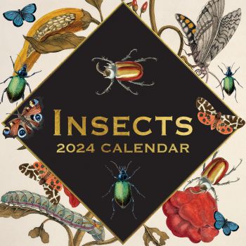 Insects 2024 Square Wall Calendar 16 Months Arts Planner Christmas New Year Gift