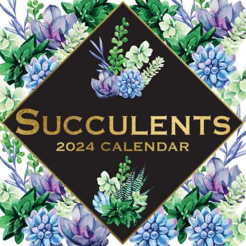 Succulents - 2024 Square Wall Calendar 16 Months Arts Planner Xmas New Year Gift