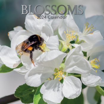 Blossoms 2024 Square Wall Calendar 16 Months Floral Flower Planner New Year Gift