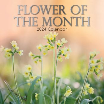 Flower of the Month - 2024 Square Wall Calendar 16 Months Floral Planner Gift