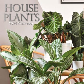 House Plants - 2024 Square Wall Calendar 16 Months Floral Flower Planner New Year Gift