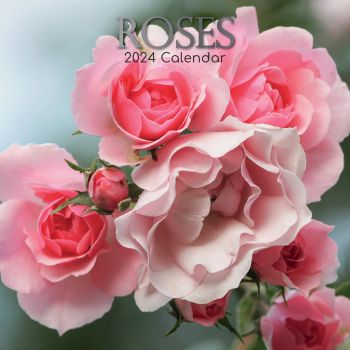 Roses 2024 Square Wall Calendar 16 Months Floral Planner Christmas New Year Gift