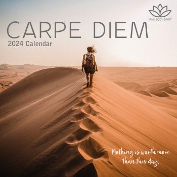 Carpe Diem - 2024 Square Wall Calendar 16 Months Planner Christmas New Year Gift