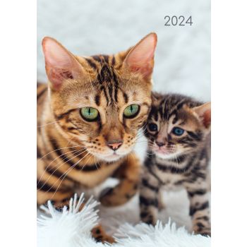 Cats & Kittens - 2024 A5 Padded Cover Diary Premium Planner Book New Year Gift