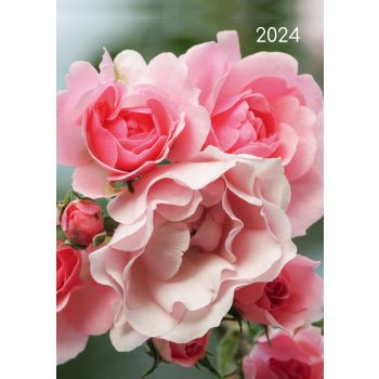 Roses - 2024 A5 Padded Cover Diary Premium Planner Book Christmas New Year Gift