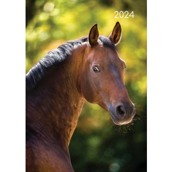 Horses - 2024 A5 Padded Cover Diary Premium Planner Book Christmas New Year Gift