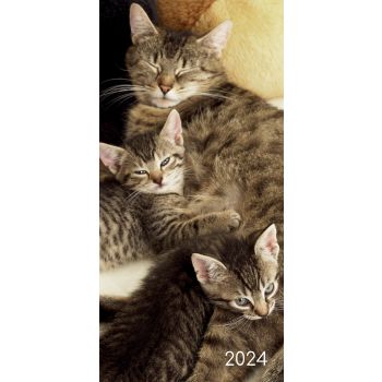 Cats & Kittens - 2024 Flexi Pocket Diary Premium Planner Christmas New Year Gift