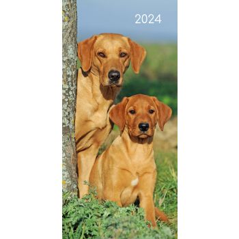 Dogs & Puppies - 2024 Flexi Pocket Diary Premium Planner Christmas New Year Gift