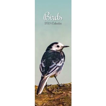 Birds - 2024 Slimline Slim Wall Calendar Hanging Planner New Year Gift