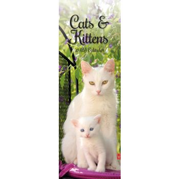 Cats & Kittens - 2024 Slimline Slim Wall Calendar Hanging Planner New Year Gift