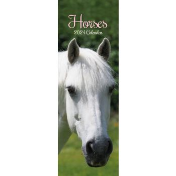 Horses - 2024 Slimline Slim Wall Calendar Hanging Planner New Year Gift