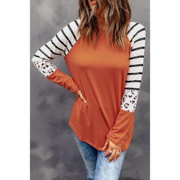 Azura Exchange Animal Print Long Sleeve Top with Striped Colorblock - M