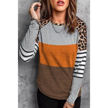 Azura Exchange Leopard Color Block Long Sleeve Blouse - L