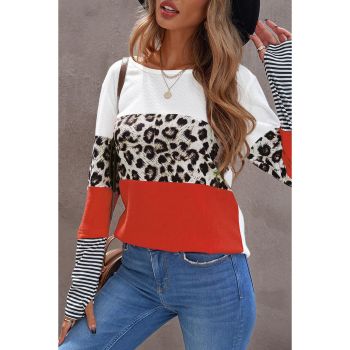 Azura Exchange Leopard Colorblock Long Sleeve Top - 2XL