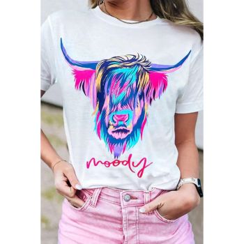 Azura Exchange Highland Heifer Moody Graphic T-shirt - 2XL