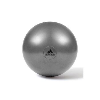 Adidas Gym Ball with Pump Exercise Yoga Fitness Pilates Birthing Training 65cm