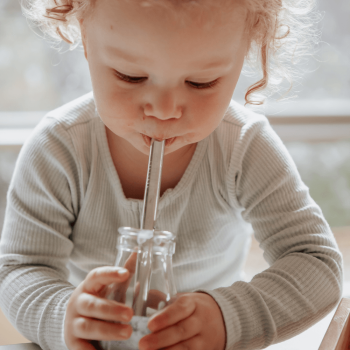 Stainless Steel Drinking Straw Set