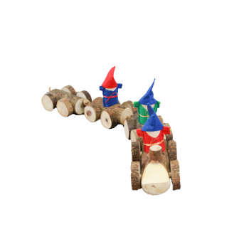 Gnome log train