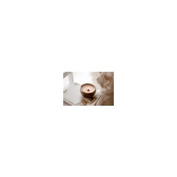 Coco scented Candle- Timber Wick- Vanilla Beans