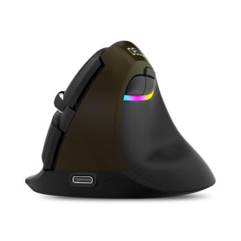 Delux Mini Vertical Ergonomic Mouse